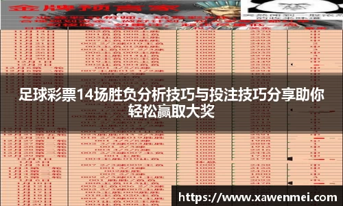 足球彩票14场胜负分析技巧与投注技巧分享助你轻松赢取大奖